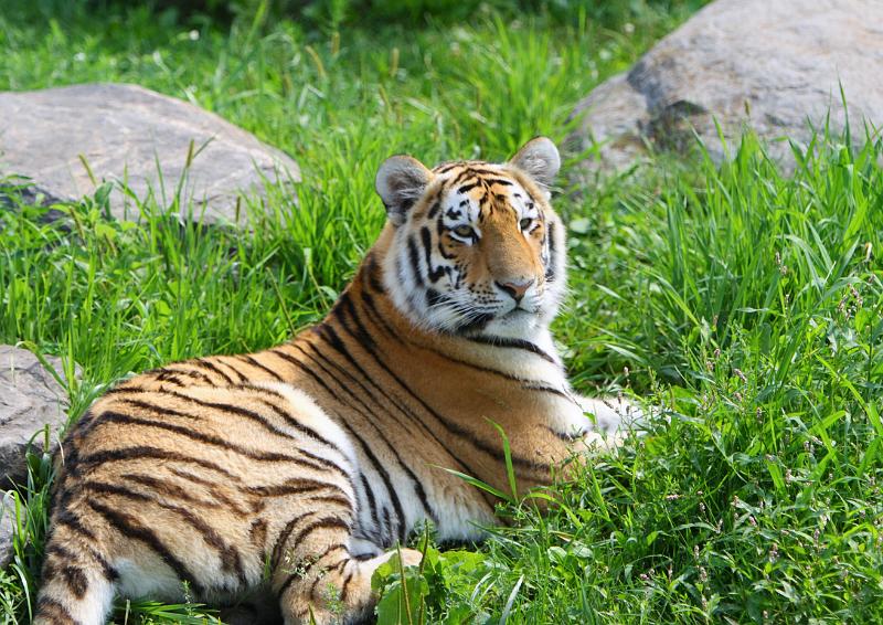 2008-08-05 11.04.17.JPG